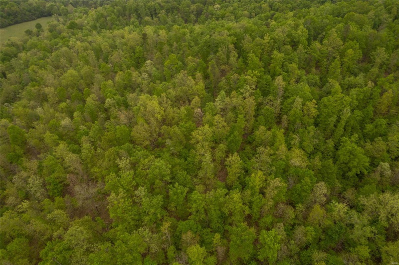 Aerial view with a wooded view