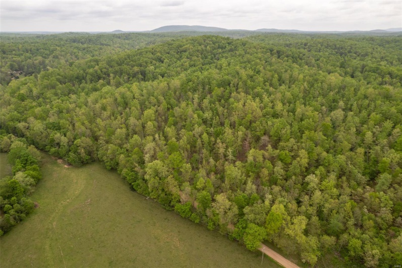 Aerial view with a wooded view and a mountain view