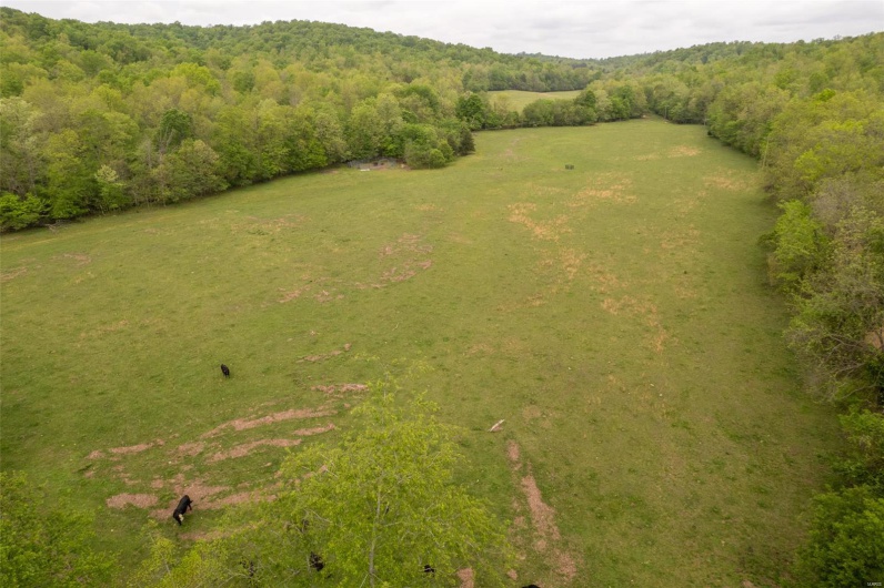 Birds eye view of property with a wooded view