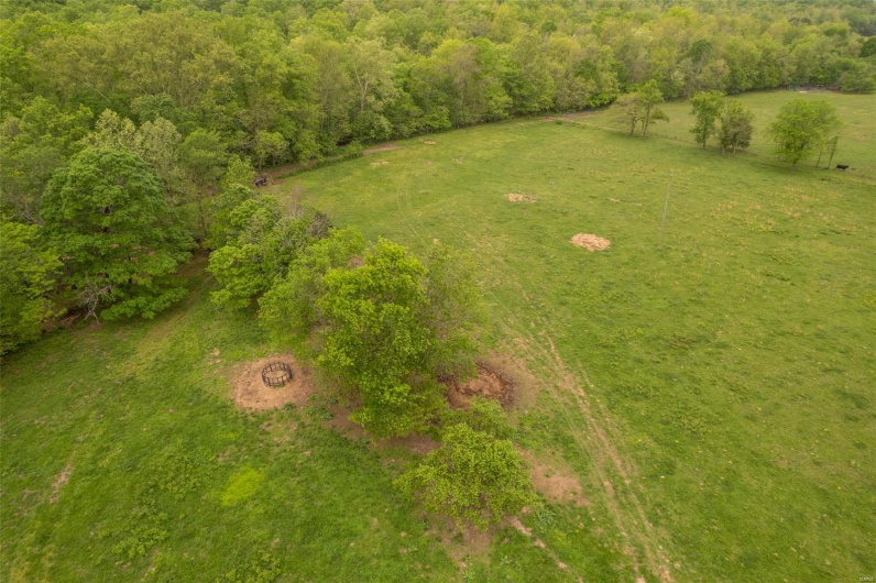 Drone / aerial view with a forest view