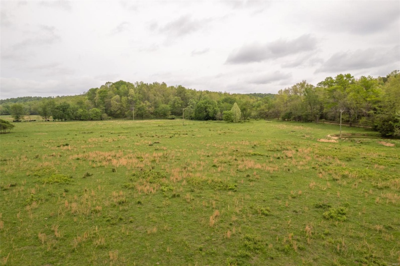 View of nature featuring a wooded view and a rural view