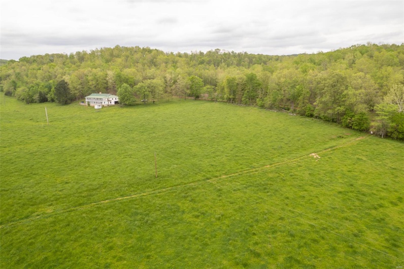 View of yard featuring a wooded view