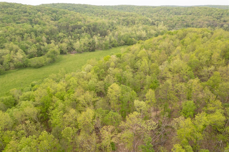 Aerial view featuring a forest view