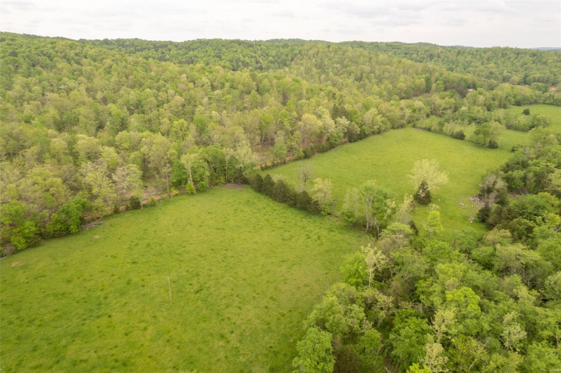 Aerial view featuring a view of trees
