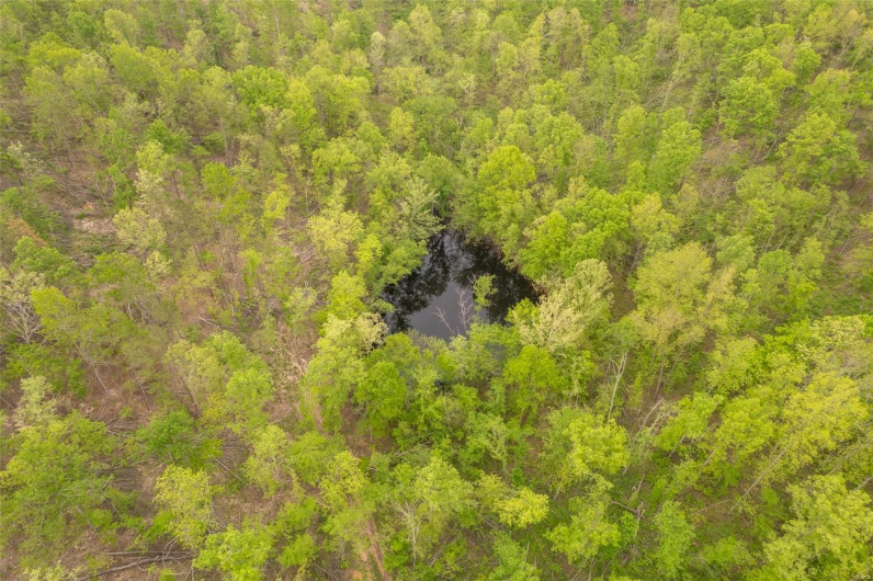 Drone / aerial view featuring a view of trees
