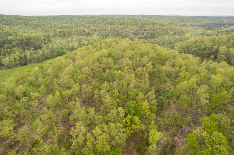 Aerial view featuring a forest view