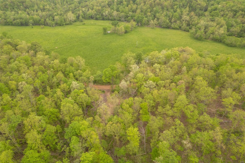 Bird's eye view with a forest view
