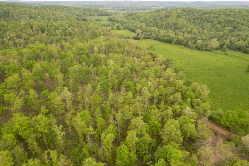 Bird's eye view featuring a view of trees