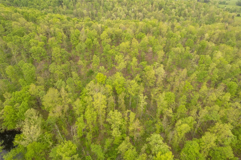 Aerial view featuring a forest view