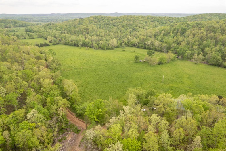 Bird's eye view with a forest view