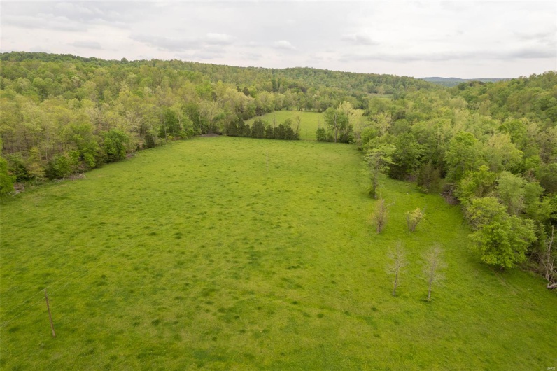 Birds eye view of property featuring a view of trees
