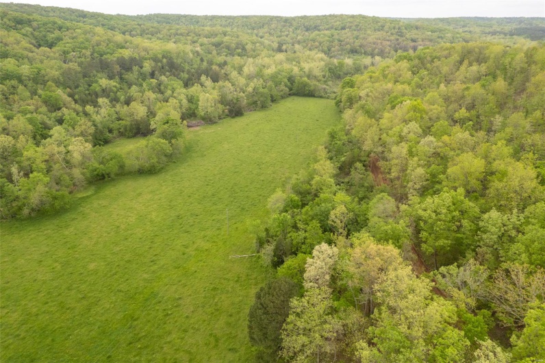 Aerial view with a forest view