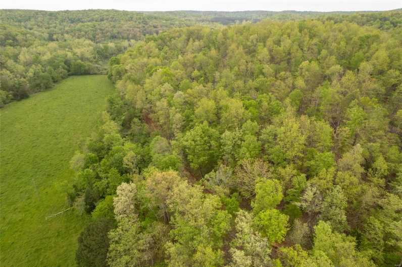 Aerial view with a forest view