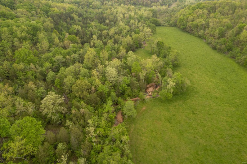 Drone / aerial view featuring a wooded view