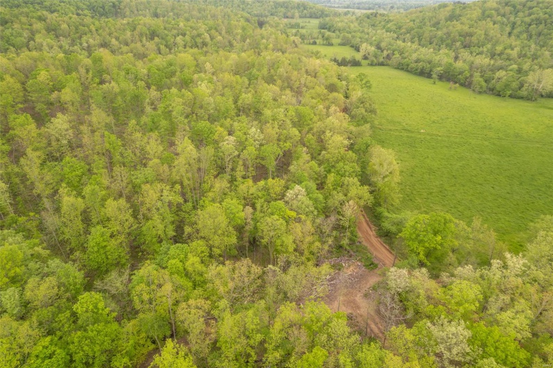 Bird's eye view with a wooded view