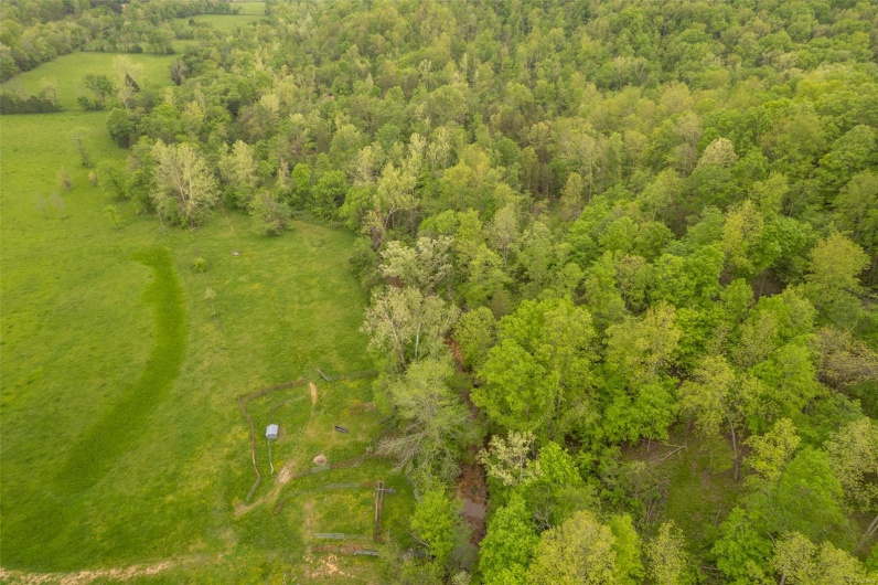 Bird's eye view with a forest view