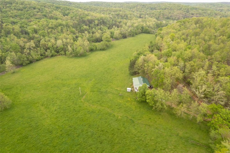 Drone / aerial view with a forest view