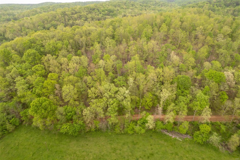 Aerial view with a forest view