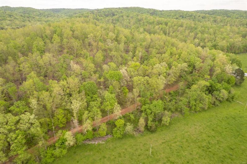 Birds eye view of property featuring a view of trees