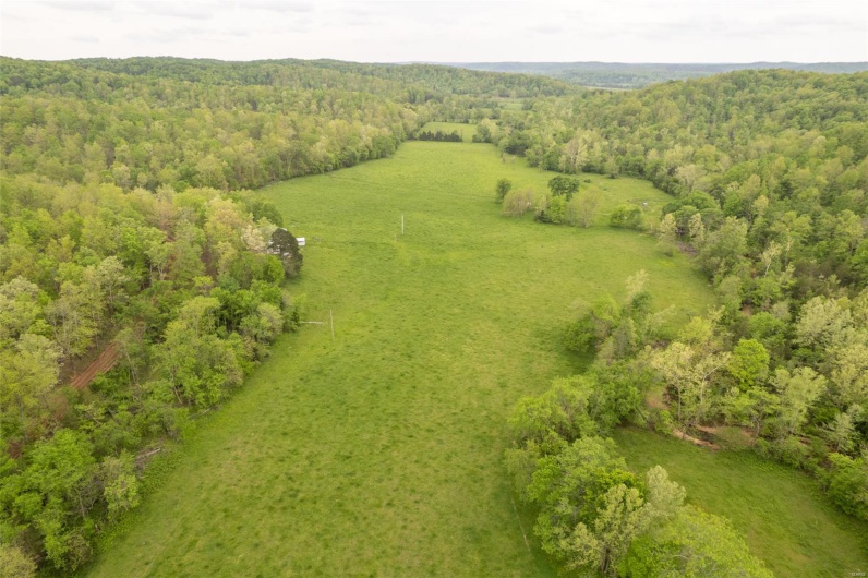 Drone / aerial view with a rural view and a forest view