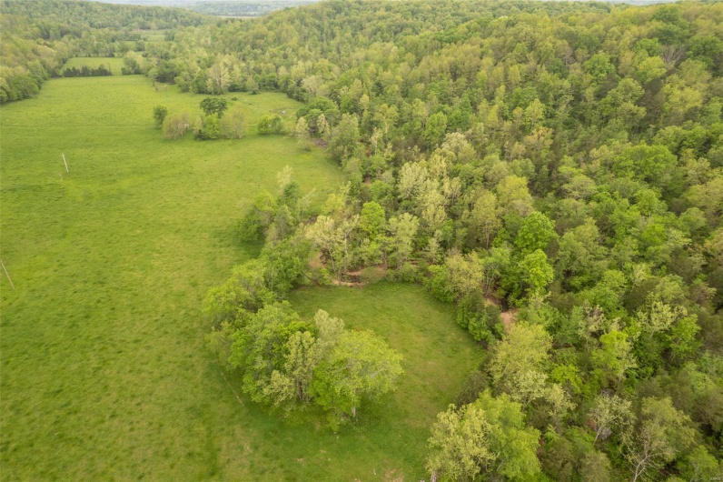 Birds eye view of property with a forest view