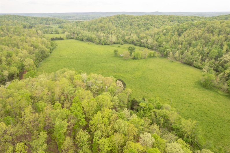 Aerial view featuring a forest view