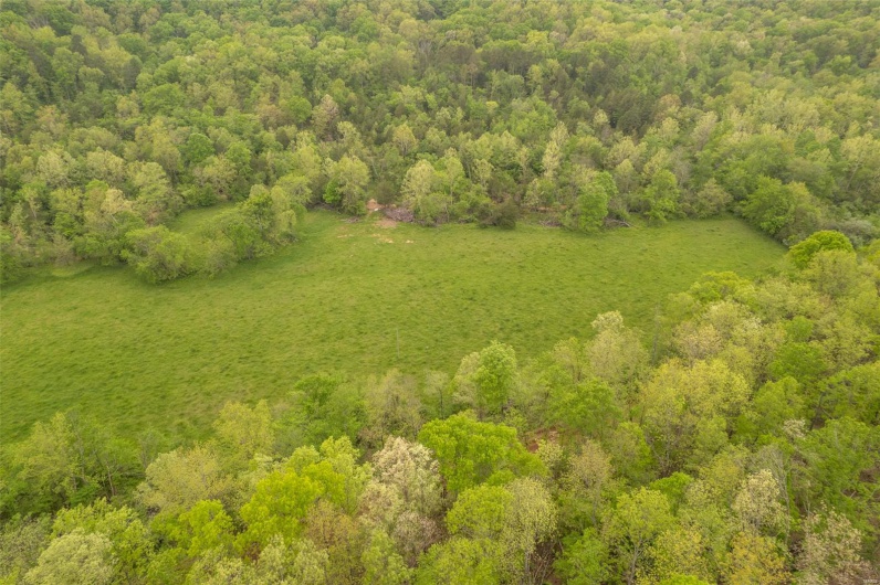 Birds eye view of property with a view of trees