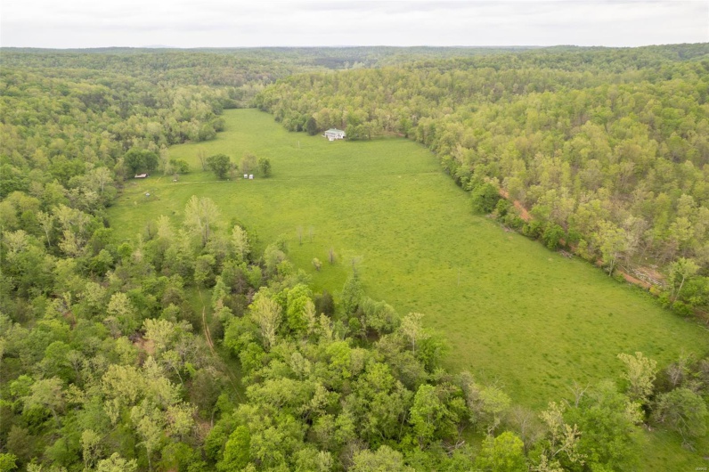 Bird's eye view featuring a forest view