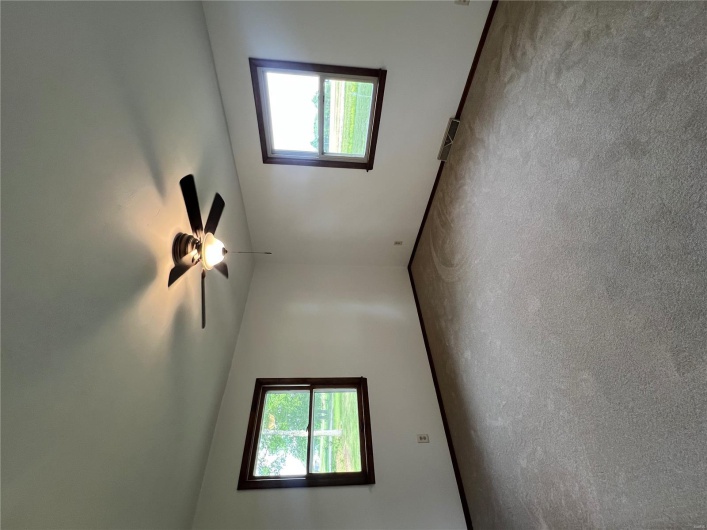 Empty room featuring a ceiling fan, a wealth of natural light, baseboards, and carpet