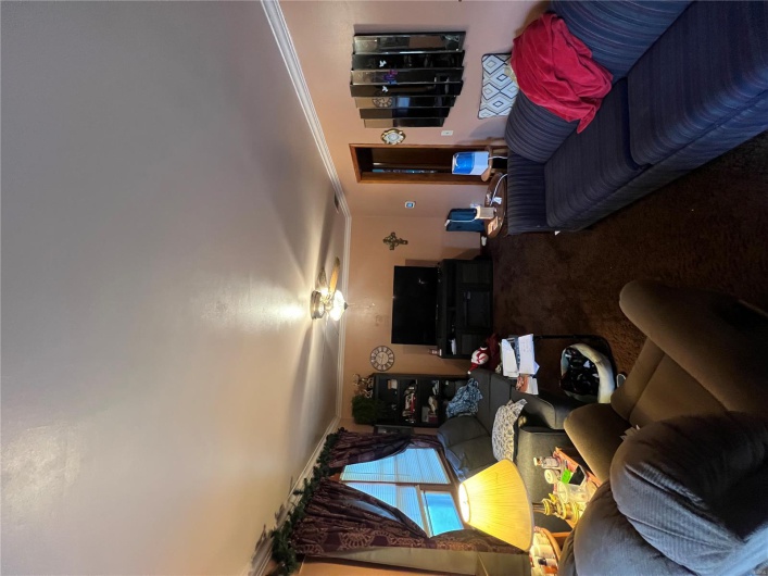 Carpeted living room featuring a ceiling fan and crown molding