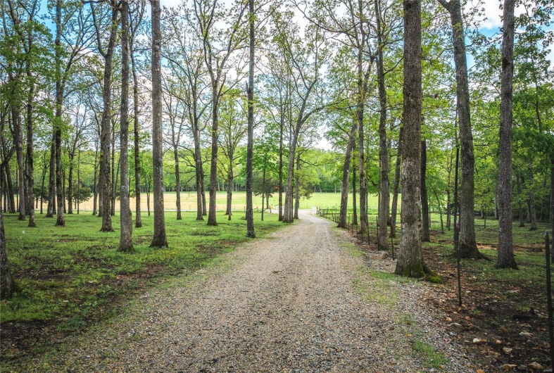 13907 Highway T, Fredericktown, Missouri 63645, 5 Bedrooms Bedrooms, 14 Rooms Rooms,4 BathroomsBathrooms,Farm,For Sale,Highway T,MAR25028986