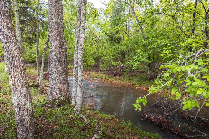 0 Off Highway T, Fredericktown, Missouri 63645, ,Farm,For Sale,Off Highway T,MAR25029429