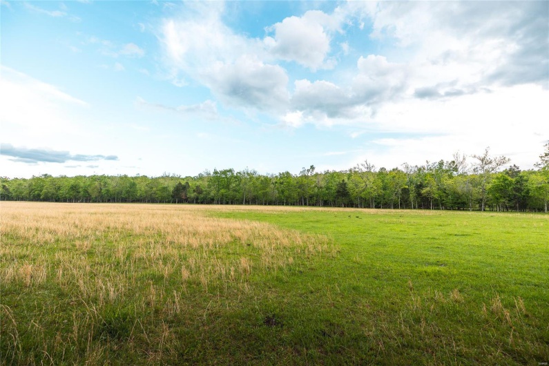 0 Off Highway T, Fredericktown, Missouri 63645, ,Farm,For Sale,Off Highway T,MAR25029429