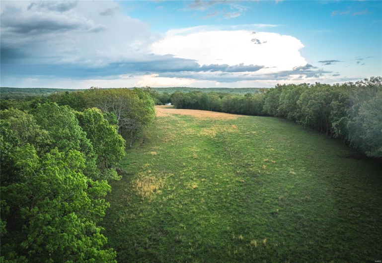 0 Off Highway T, Fredericktown, Missouri 63645, ,Farm,For Sale,Off Highway T,MAR25029429