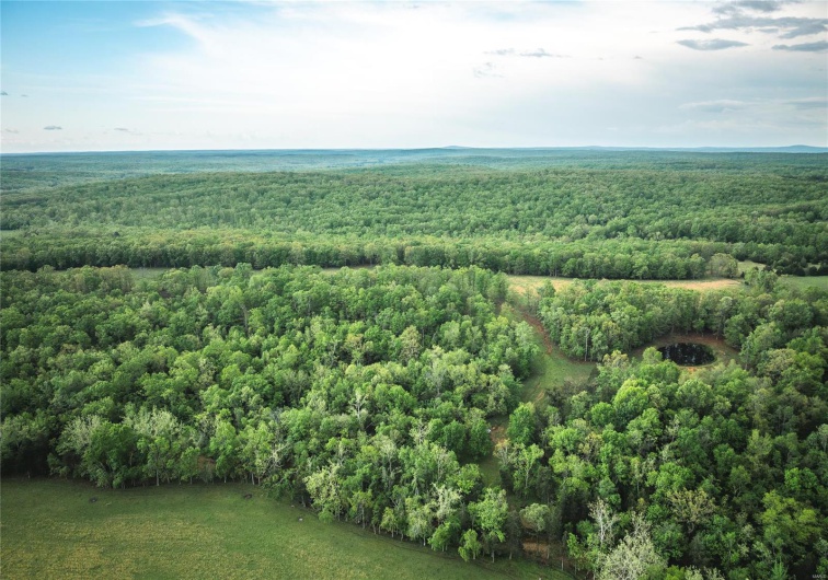0 Off Highway T, Fredericktown, Missouri 63645, ,Farm,For Sale,Off Highway T,MAR25029429