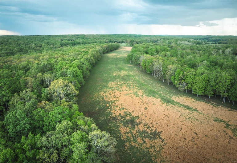 0 Off Highway T, Fredericktown, Missouri 63645, ,Farm,For Sale,Off Highway T,MAR25029429
