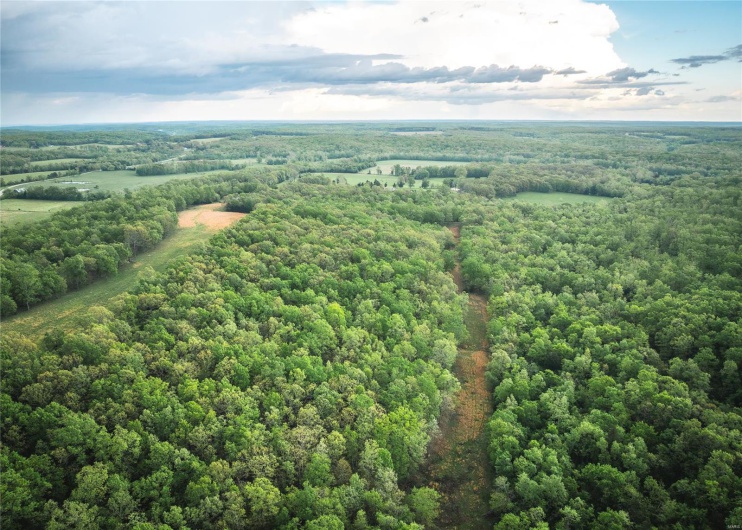 0 Off Highway T, Fredericktown, Missouri 63645, ,Farm,For Sale,Off Highway T,MAR25029429