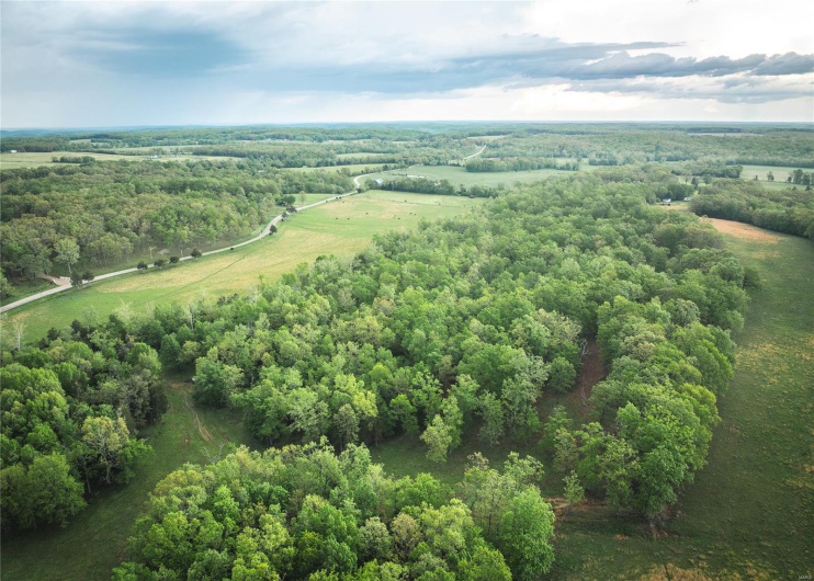 0 Off Highway T, Fredericktown, Missouri 63645, ,Farm,For Sale,Off Highway T,MAR25029429