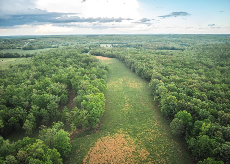 0 Off Highway T, Fredericktown, Missouri 63645, ,Farm,For Sale,Off Highway T,MAR25029429