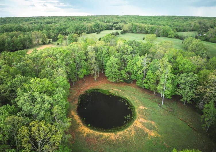 0 Off Highway T, Fredericktown, Missouri 63645, ,Farm,For Sale,Off Highway T,MAR25029429