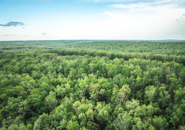0 Off Highway T, Fredericktown, Missouri 63645, ,Farm,For Sale,Off Highway T,MAR25029429