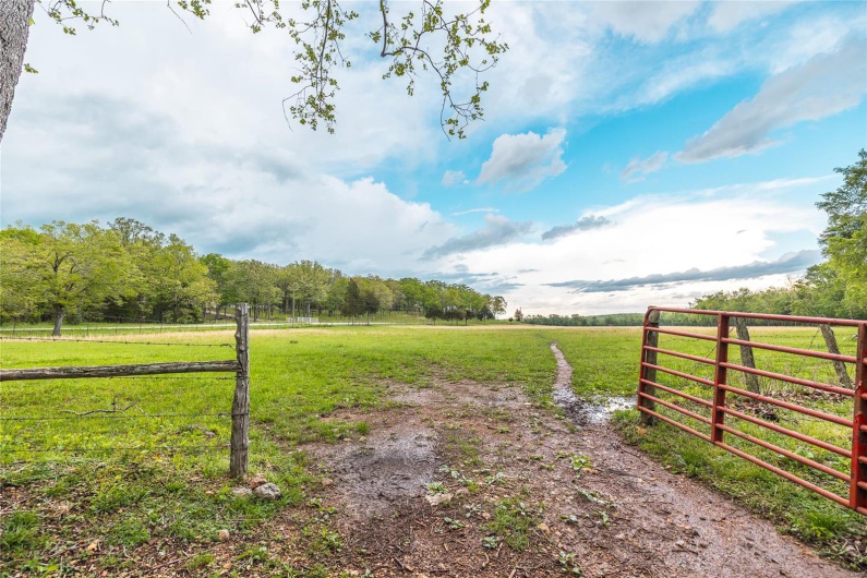 0 Off Highway T, Fredericktown, Missouri 63645, ,Farm,For Sale,Off Highway T,MAR25029429