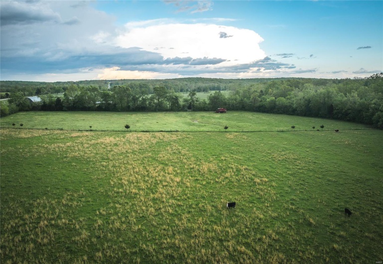 0 Off Highway T, Fredericktown, Missouri 63645, ,Farm,For Sale,Off Highway T,MAR25029429