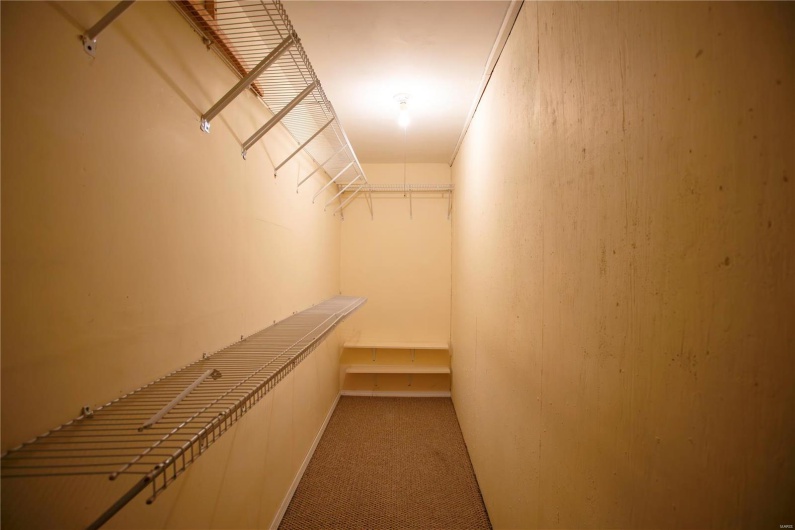Walk in closet featuring carpet floors