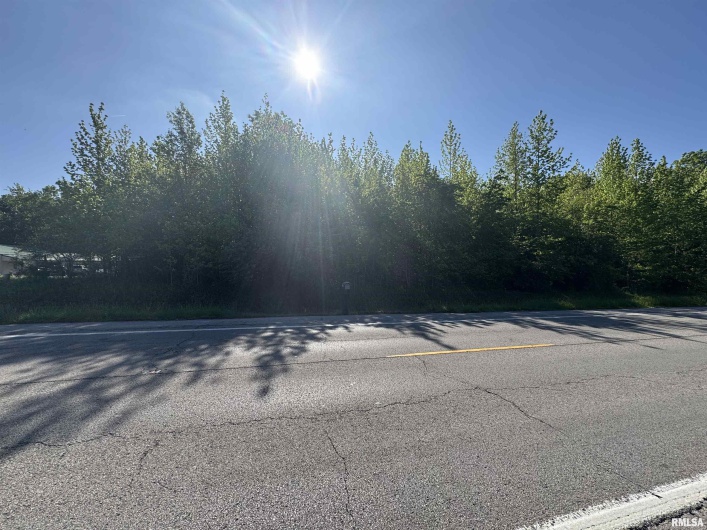 0000 State Route 37 N Highway, Johnston City, Illinois 62951, 0 , 0 ,0,Land,For Sale,State Route 37 N,0,RMAQC4262939