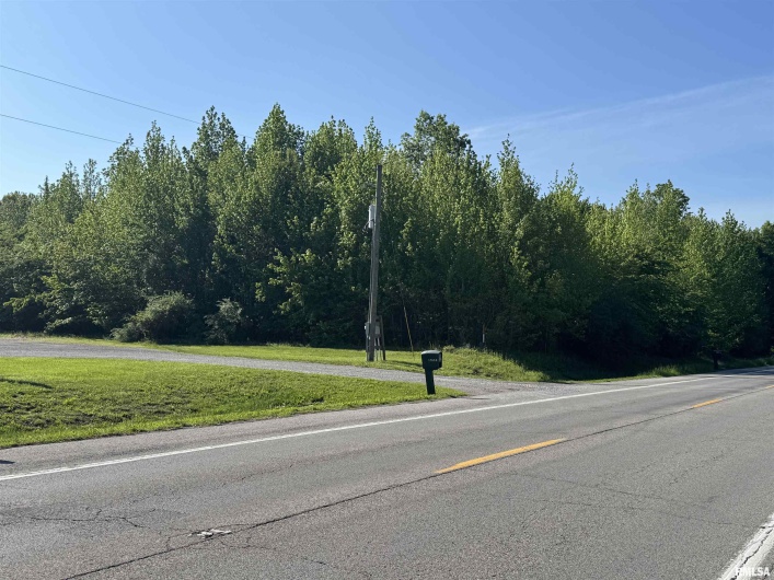 0000 State Route 37 N Highway, Johnston City, Illinois 62951, 0 , 0 ,0,Commercial Sale,For Sale,State Route 37 N,0,RMAQC4262940