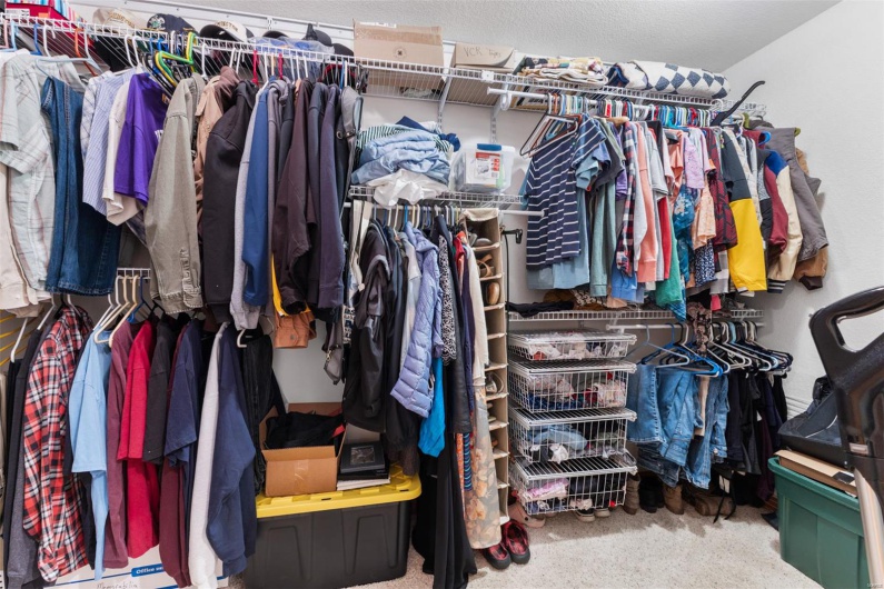 Spacious closet featuring carpet floors