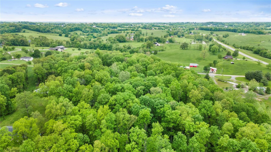 Bird's eye view featuring a wooded view and a rural view