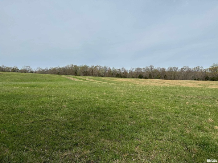 415 PIN OAK Lane, Cypress, Illinois 62923, 5 Bedrooms Bedrooms, 0 ,2 BathroomsBathrooms,Land,For Sale,PIN OAK,0,RMAEB448474