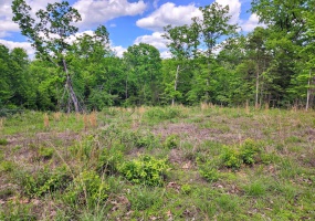0 Rue Marseilles, Bonne Terre, Missouri 63628, ,Land,For Sale,Rue Marseilles,MAR25030022